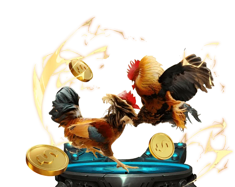 Email hỗ trợ sunwin20